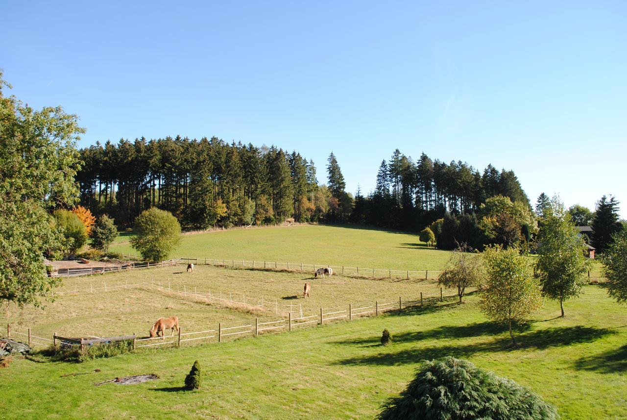 Landgasthof Gruss Brilon Exterior photo